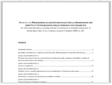 "PROGRAMMA DI AZIONE BIENNALE PER LA PROMOZIONE DEI  DIRITTI E L'INTEGRAZIONE DELLE PERSONE CON DISABILITA' - Febbraio 2013